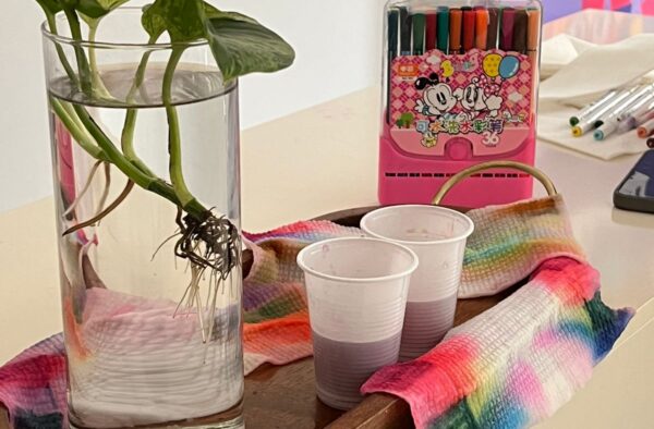 WhatsApp Image 2025-11-06 at 7.09.33 AM