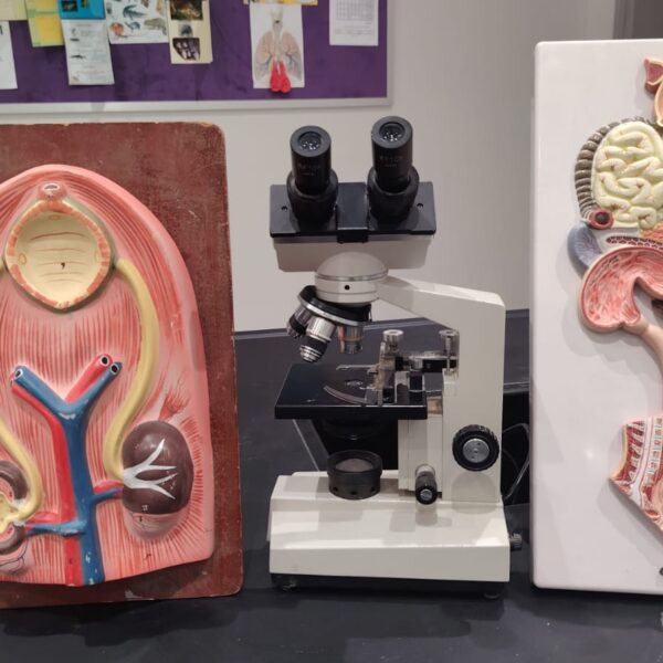 WhatsApp Image 2025-11-09 at 12.20.56 PM