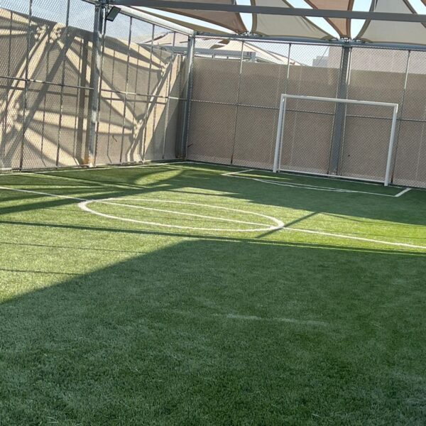 WhatsApp Image 2025-11-10 at 8.41.49 AM