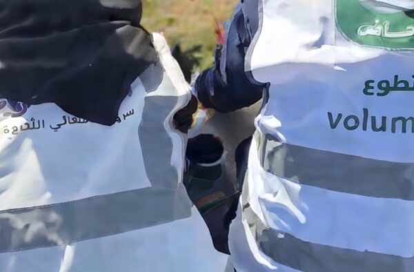 2192a3e6-ad0b-4a94-90b6-1e3e52265877