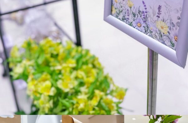 4ace3757-7ba9-4880-a6db-c7b85fc1cd49