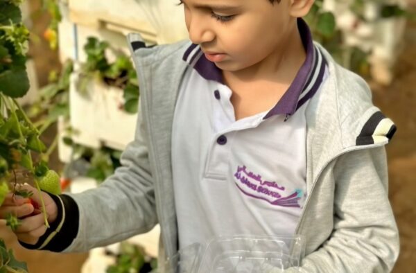 4e8e6133-2012-4e61-b6e3-1508d8f3f93a