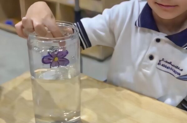 bf33fd51-42ce-4a14-b49a-fc7ce13cbab5