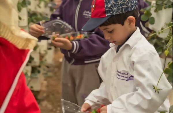 c7ab0c91-4ab6-4d02-9a15-4b4b9951cc5d